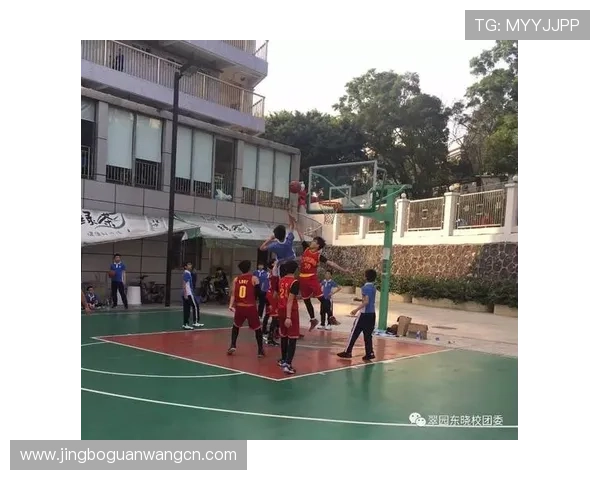 如何安全高效完成B体育登录？实用技巧与注意事项全解析